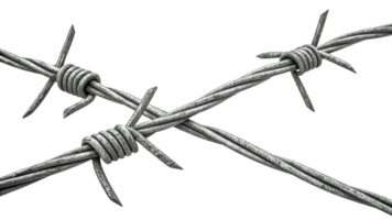Two intersecting strands of barbed wire, their metallic sheen highlighting sharp spines and coiled knots, symbolizing division or security with an industrial aesthetic png