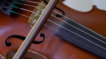 Violin fiddlestick moving across strings. Classical music, orchestral performance, musician skill video