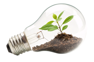 A lightbulb repurposed as a miniature greenhouse, featuring soil, a sprouting plant, and a visible filament, merging technology and nature png