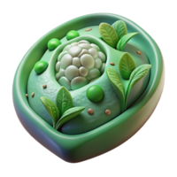impressive rustic Plant Cell Structure Transparent Background authentic png