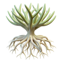 impressive minimalist Plant Root System Transparent Background original png