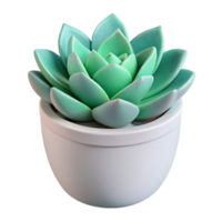 extraordinary contemporary Single Succulent in White Pot Isolated high quality png