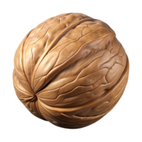 extraordinary classic Single Walnut Isolated Element original png