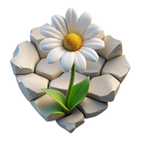 stunning abstract Single White Daisy Growing in City Crack Cutout high quality png