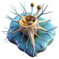 impressive minimalist Synaptic Plasticity Diagram Cutout with Microscopic Detail authentic png