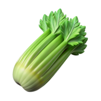 magnificent abstract Synthetic Celery Stalk Green Ribs Cutout high quality png
