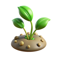 stunning vintage Time Lapse Plant Growth Sequence Isolated authentic png