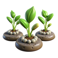 elegant creative Time Lapse Plant Growth Sequence Isolated professional png