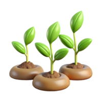 extraordinary abstract Time Lapse Plant Growth Sequence Isolated genuine png