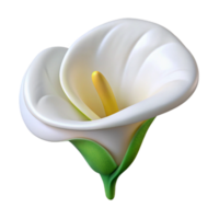 extraordinary artistic White Calla Lily Cutout with Elegant Shape high resolution png