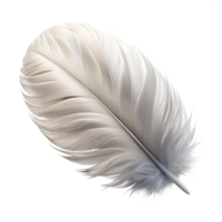 impressive artistic White Feather Cutout with Soft Fluff high quality png