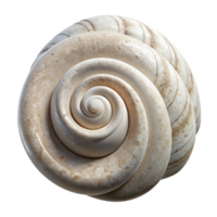 magnificent abstract Seashell Spiral White Texture Beach Find Cutout Element premium png