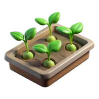 impressive rustic Seedling Tray Green Sprouts Transparent Background authentic png