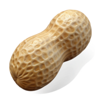 serene modern Single Peanut Isolated Element professional png