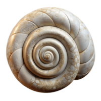 beautiful modern Snail Shell Spiral Pattern Isolated Element exclusive png