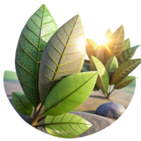 beautiful rustic Sunlight Filtering Through Leaves in Urban Park Transparent Background high resolution png