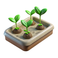 elegant rustic Seedling Tray Green Sprouts Transparent Background detailed png