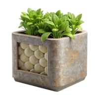 magnificent modern Vertical Planter with Herbs Cutout Front View genuine png