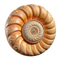 elegant vintage Ammonite Fossil Spiral Shell Texture Cutout premium png