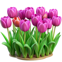 elegant artistic A Field of Tulips in Full Bloom Vibrant 4K png