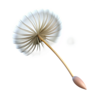 stunning vintage A Single Dandelion Seed Floating in the Wi genuine png
