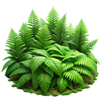 magnificent minimalist A Lush Green Forest Floor Covered in Fer 4K png