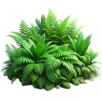 serene rustic A Lush Green Forest Floor Covered in Fer detailed png