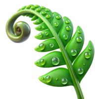 stunning abstract A Lush Green Fern Unfurling Dew Drops C exclusive png