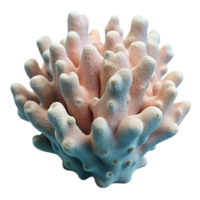 vibrant artistic Artificial Reef Coral Fragment with Natural Texture high resolution png