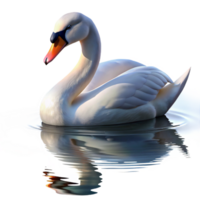 impressive abstract A Graceful Swan Gliding Across a Still La high quality png