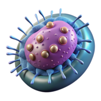 serene traditional Bacteria Cell Magnified View high resolution png