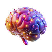 extraordinary traditional A Digital Rendering of a Human Brain With high resolution png