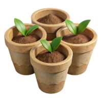 serene vintage Biodegradable Seed Starter Pots with Peat Moss png