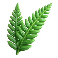 extraordinary traditional A Detailed of a Fern Leaf S high resolution png