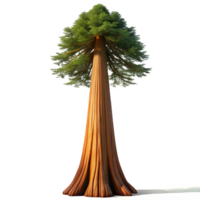 vibrant classic A Giant Sequoia Tree Reaching Towards The high resolution png