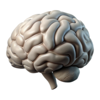 dramatic artistic Brain Silhouette Side View on Transparent Background authentic png
