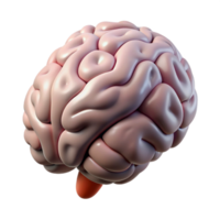 impressive abstract Brain Structure on Transparent Background detailed png