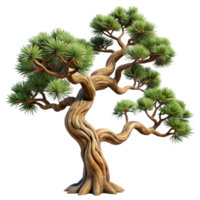 serene classic Bristlecone Pine Tree Twisted Branches high resolution png