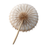 serene rustic A Single Delicate Dandelion Seed Head Ge original png