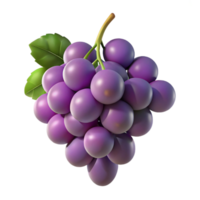 beautiful traditional A Cluster of Grapes on a Vine Backlit R high quality png