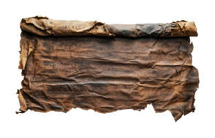 Worn ancient scroll with weathered texture and torn edges, cut out png