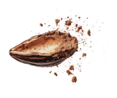 Exploding cocoa bean with powder eruption, cut out png