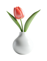 Single red tulip in smooth white vase with glossy green leaves, cut out png