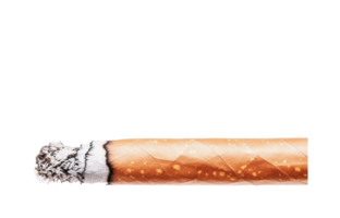 Close-up of a burning cigarette with ash, cut out png