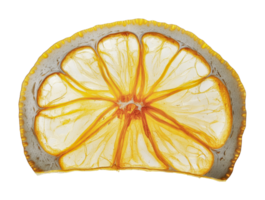 Transparent slice of lemon showing intricate inner structure and bright yellow peel, cut out png