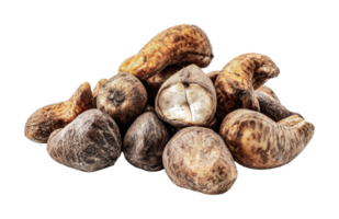 Fresh raw african african walnut seeds with natural shell texture, cut out png