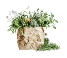 Fresh organic vegetables in a brown paper bag with herbs and spices, cut out png