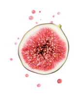 Close-up of fresh fig slice with splashing juice on black background png