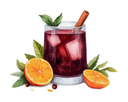 Beverage with ice and citrus garnish featuring cinnamon and fresh leaves png