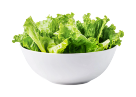 Fresh green lettuce in white bowl on transparent background png